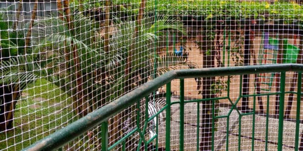 Pigeon Protection Nets