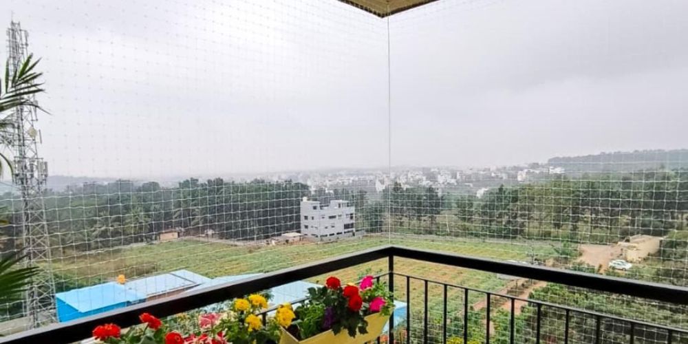 Bird Nets Fixing Near Me